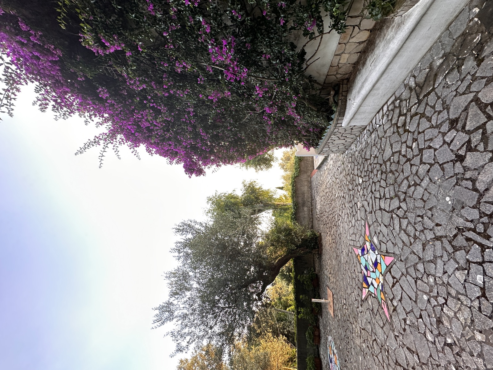 Capri scene