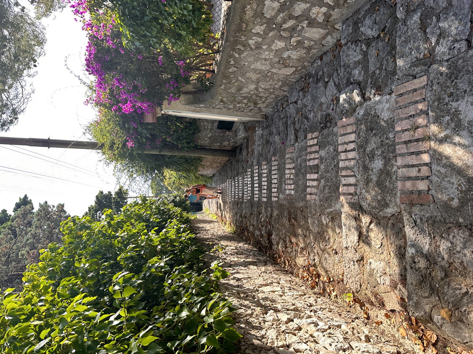 Walking path