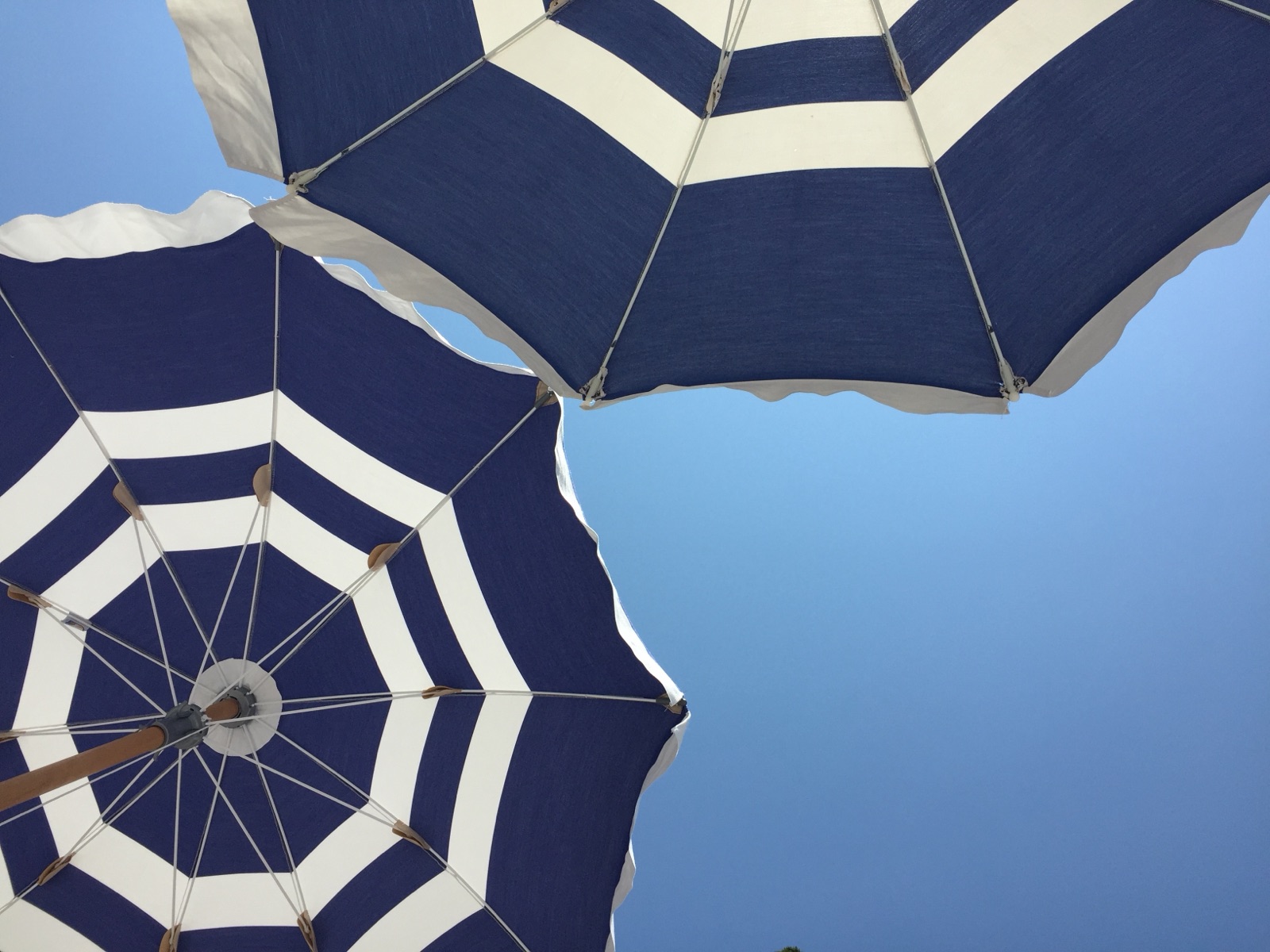 Fontellina umbrellas
